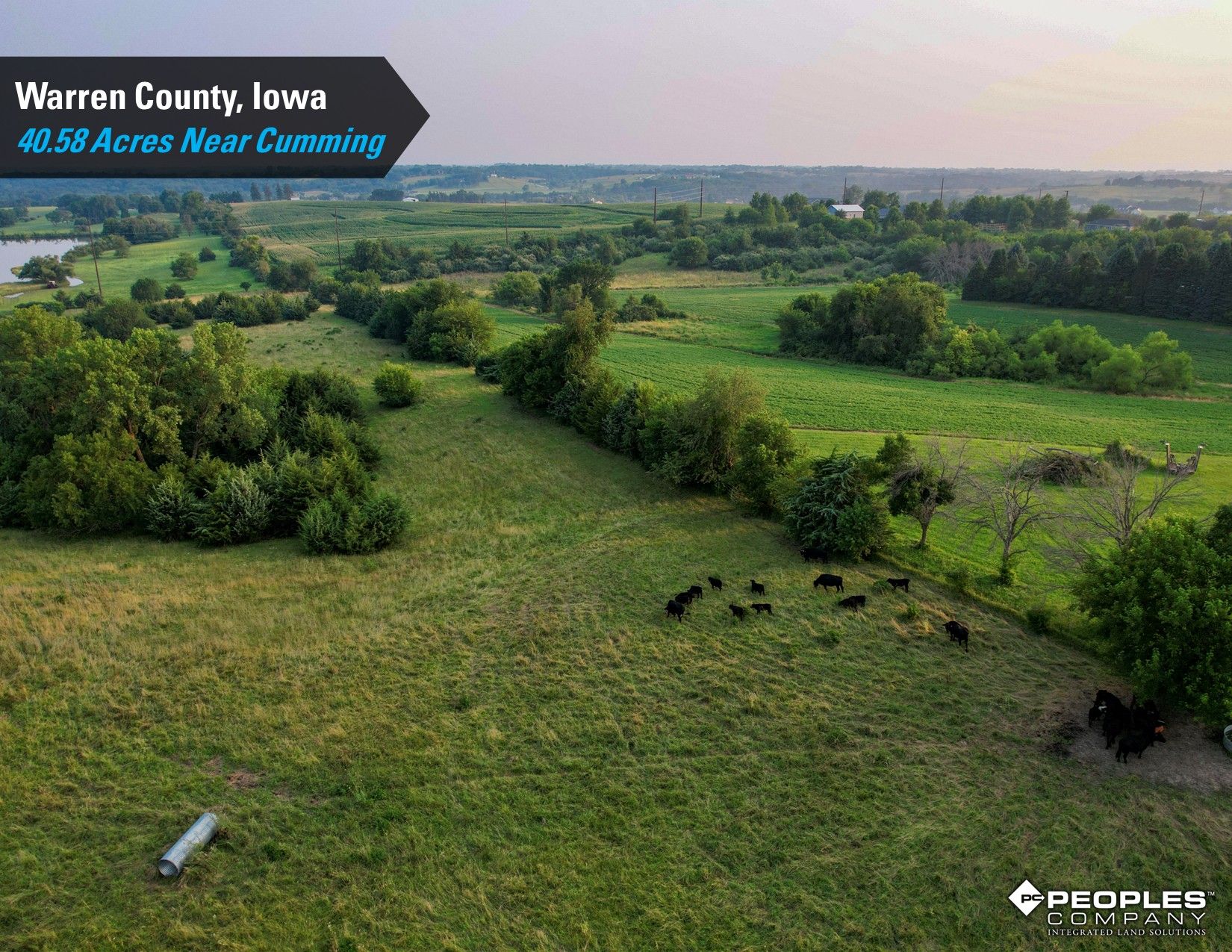 Listing Photo: Warren-County-Iowa-Land-Available-Near-Cumming-Iowa-40.58-Acres (10)